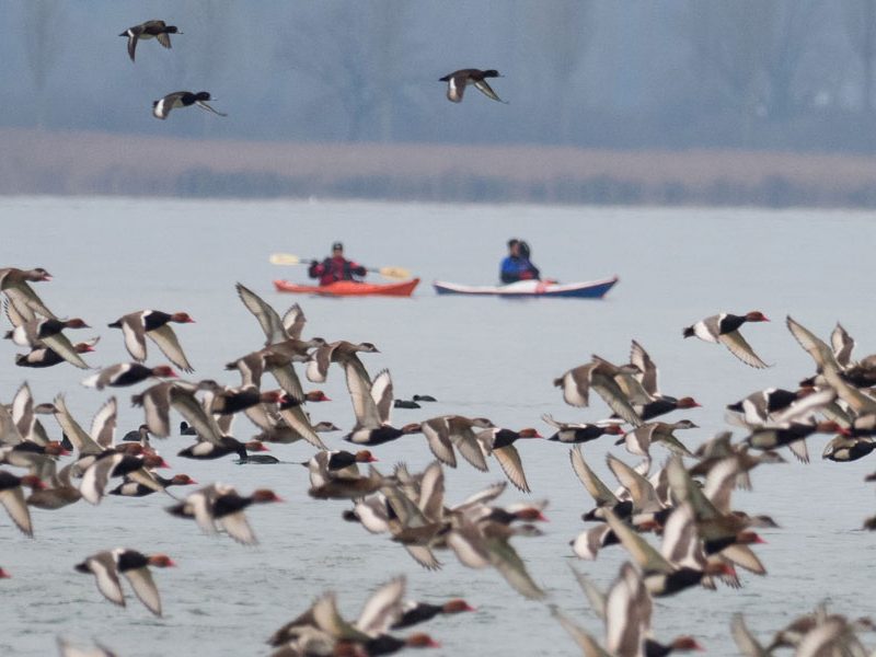 Schutzgebiete seeseitig sichtbar machen