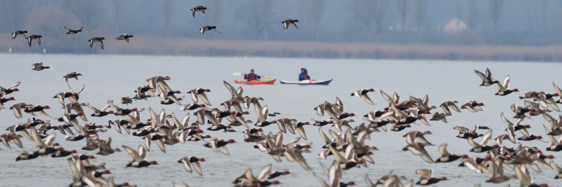 Schutzgebiete seeseitig sichtbar machen