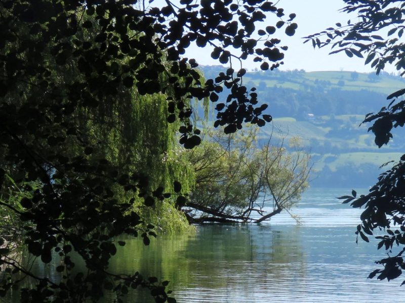 Dem Sempachersee Sorge tragen