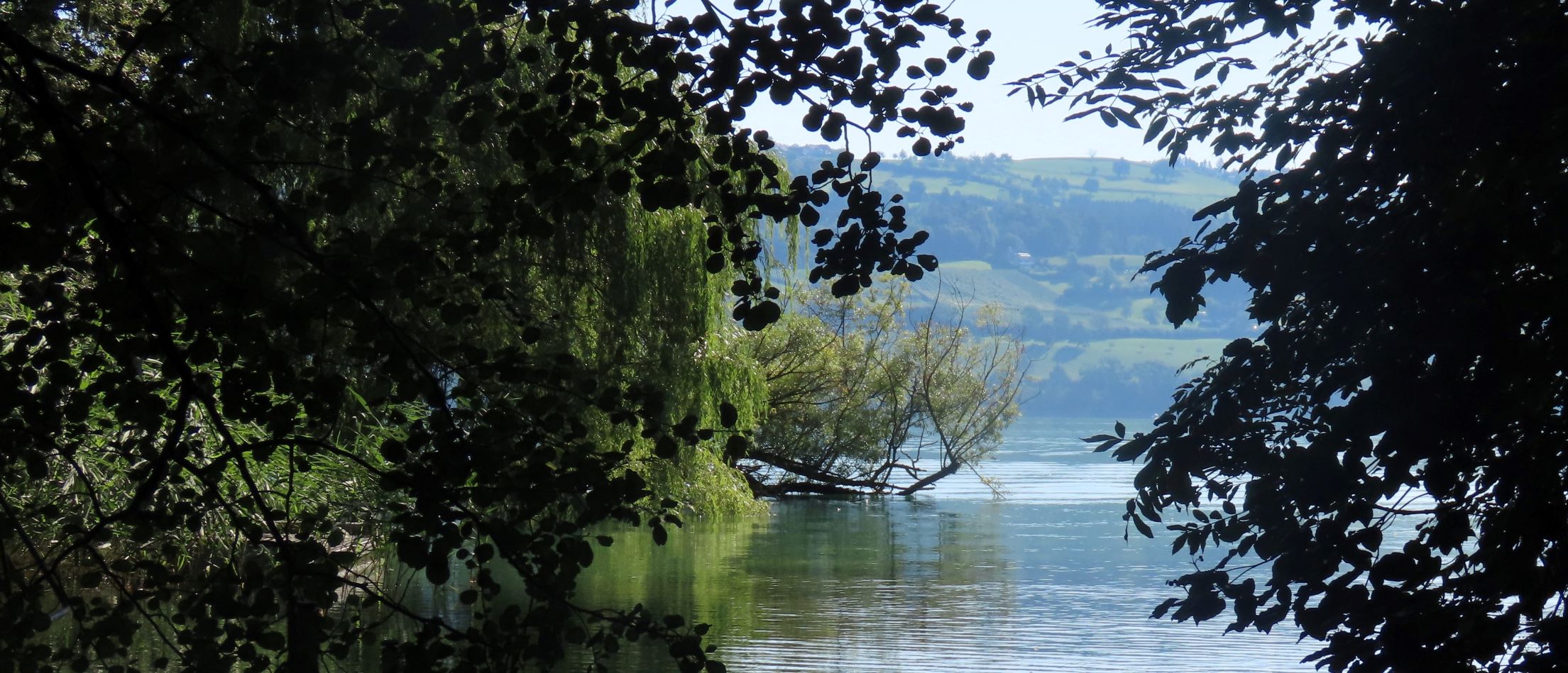 Dem Sempachersee Sorge tragen